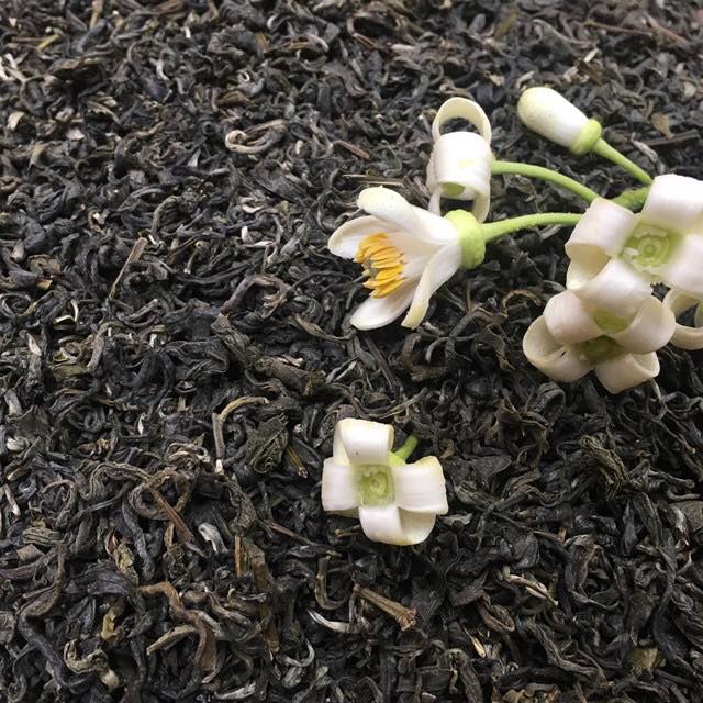 Cách chọn chè Tân Cương làm quà biếu - Chè móc câu