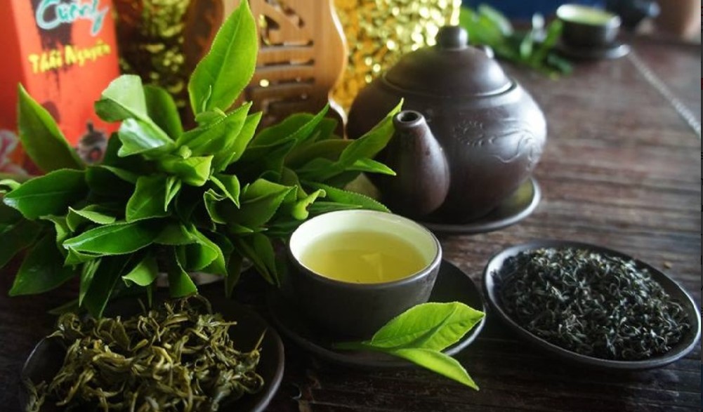 Cách nhận biết chè Tân Cương ngon cho người mới bắt đầu