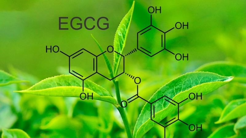 Top 5 lợi ích của trà xanh - Chống oxy hóa