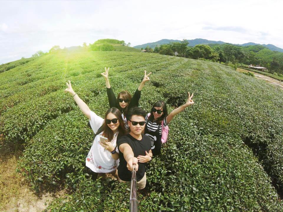 Trải nghiệm hái chè Tân Cương - Checkin đồi chè