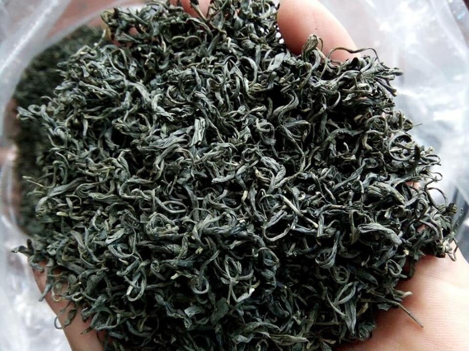 cách pha chè Tân Cương - chọn nguyên liệu