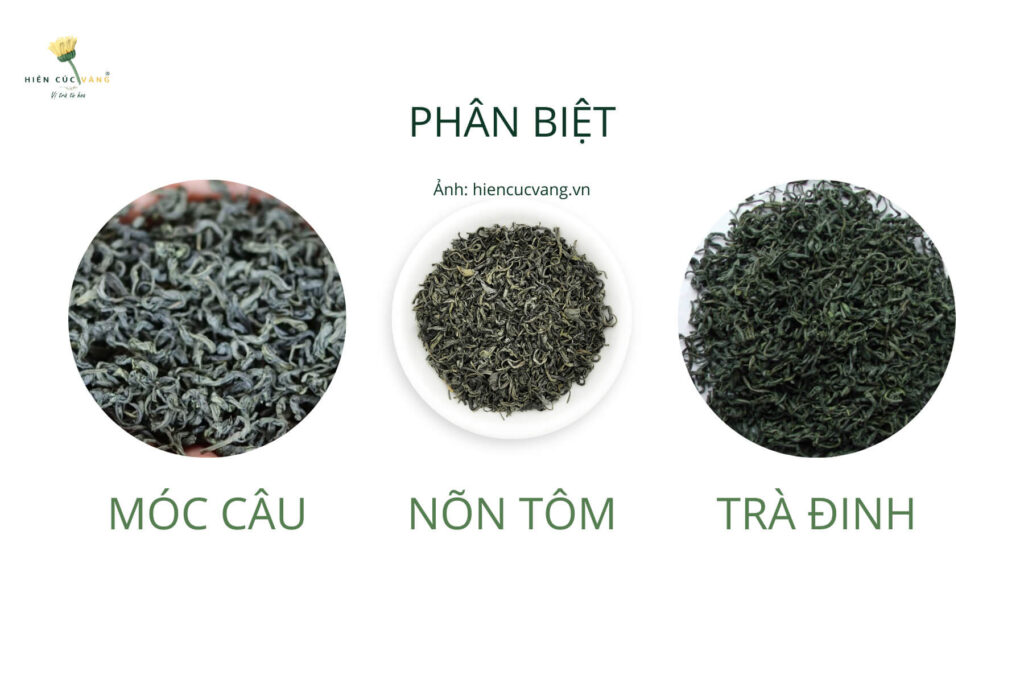 So sánh chè Đinh với chè móc câu