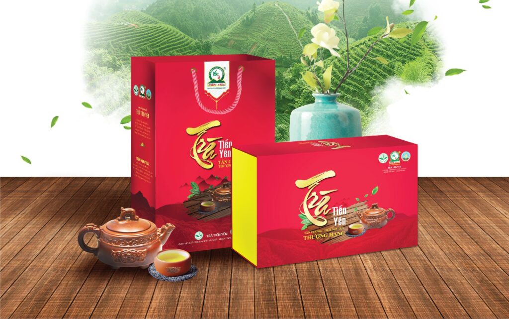 So sánh chè Tân Cương và Shan Tuyết - quà tặng ý nghĩa
