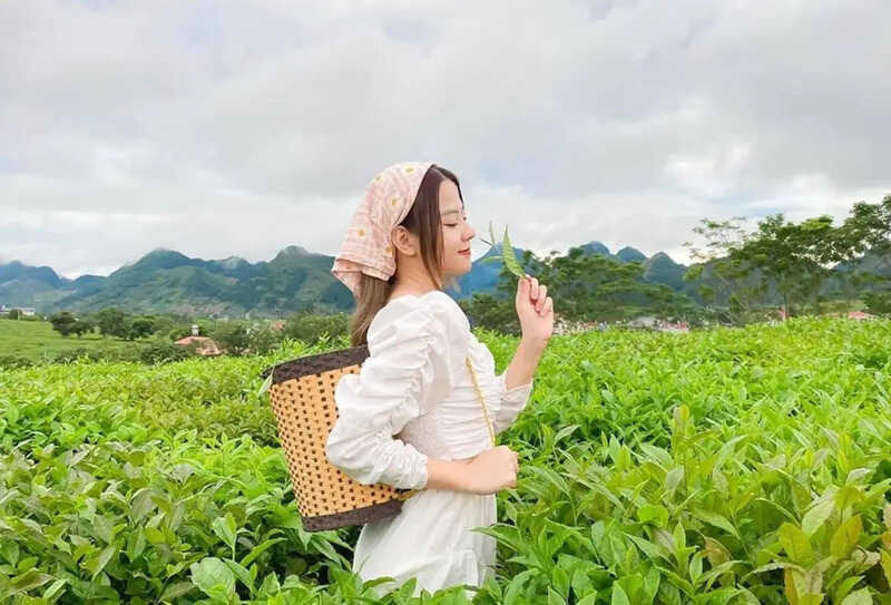 Trà Tân Cương - Góc nhìn mới mẻ từ gen Z